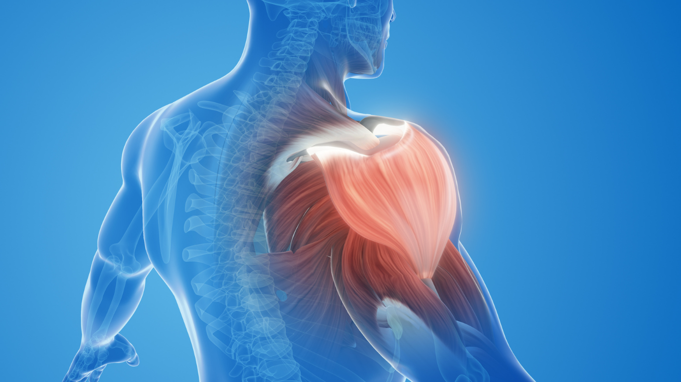 Debusting Frozen Shoulder Hero Image