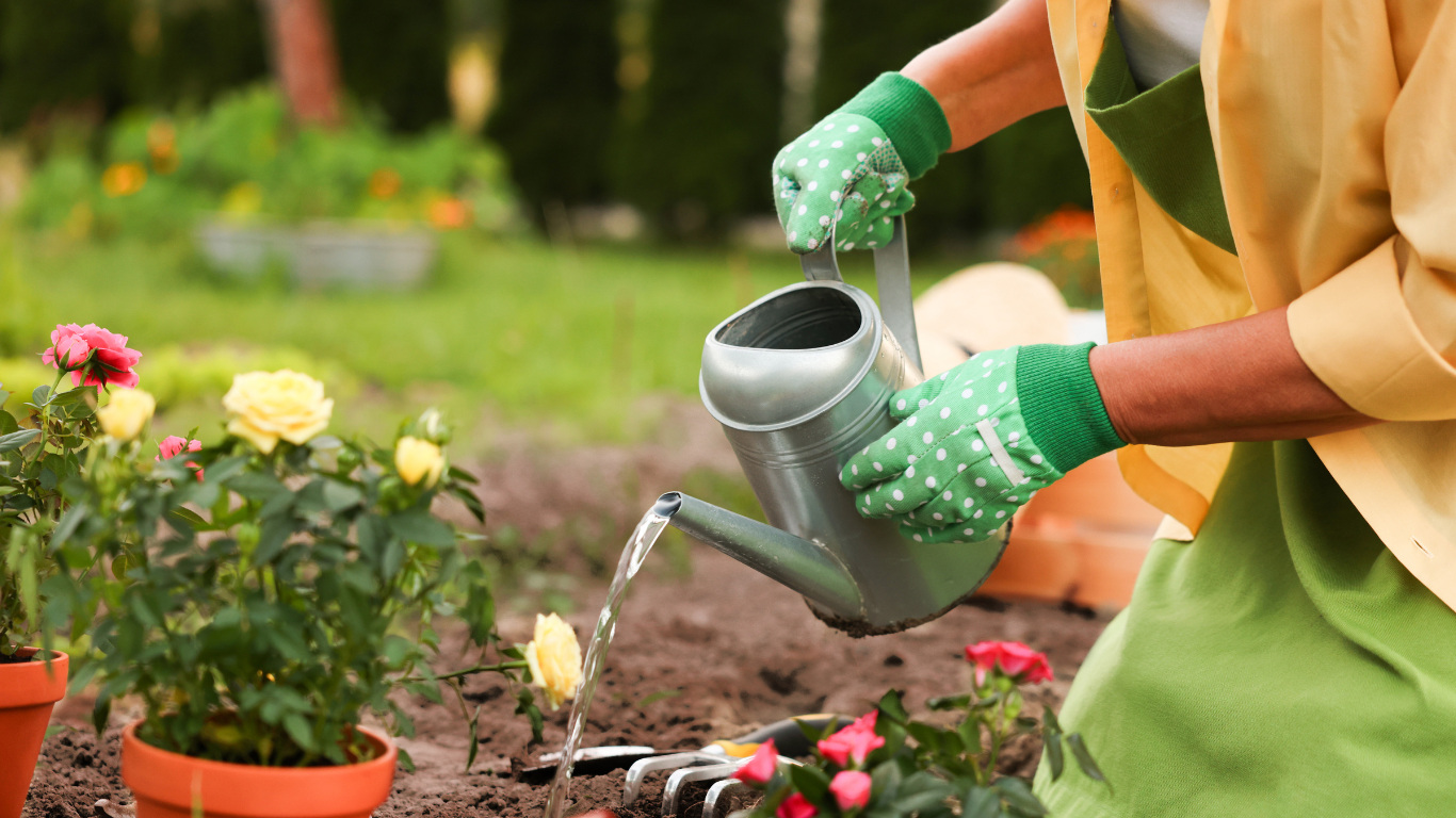 Gardening Without the Aches: Physiotherapy Tips for a Happier Back Hero Image
